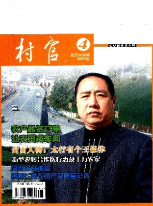 中国供销商情.村官杂志